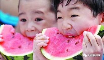 身边的人瓜吃不吃,揭秘吃瓜群众的口味偏好