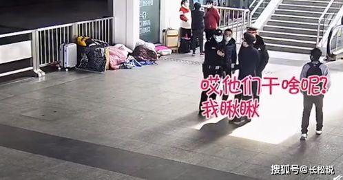 男子吃瓜被偷家,男子吃瓜被偷家，揭秘偷瓜背后的惊人真相