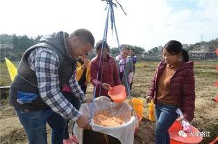 陕西摸鱼吃瓜群,闲聊八卦，共享欢乐时光